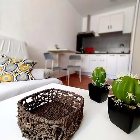 Apartment Salada